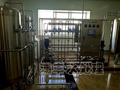 1T/H药用二级纯水系统